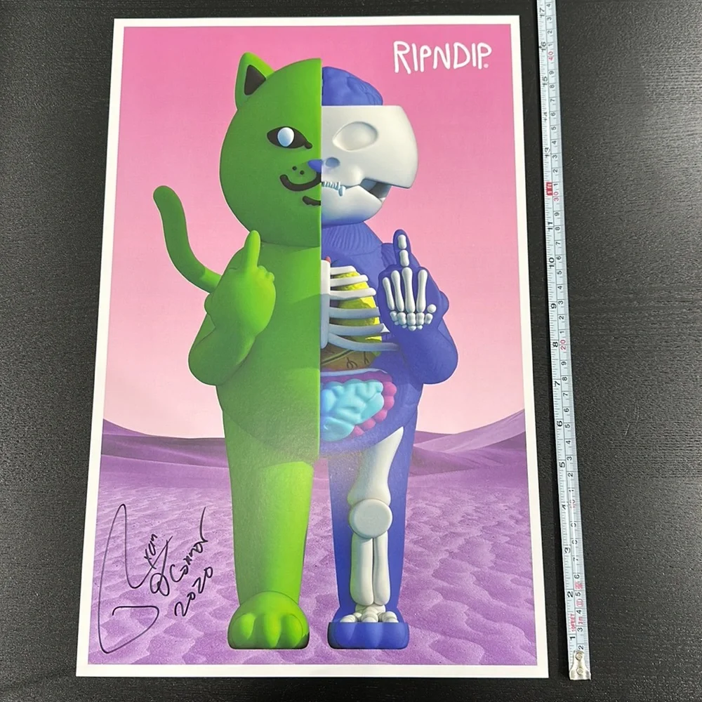 Rip N Dip Signed Anatomy Poster